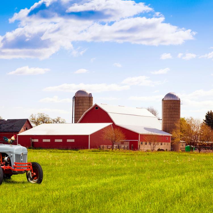 Small Farms