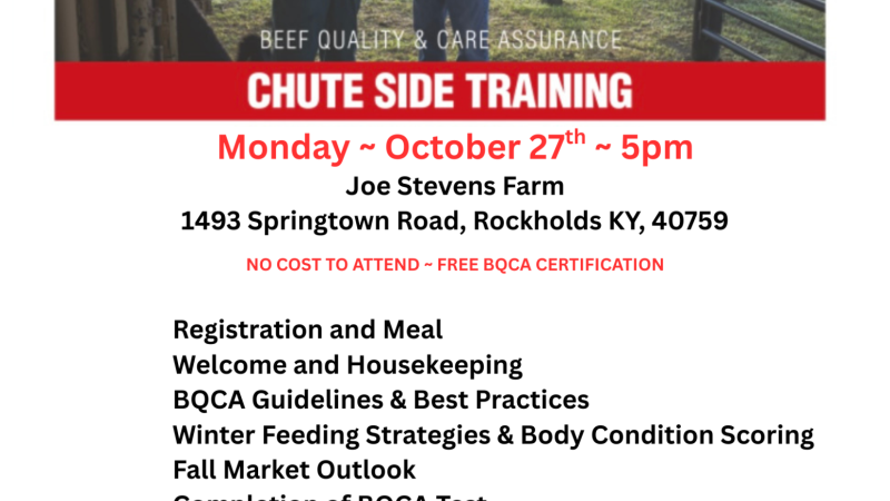 BQCA event flyer